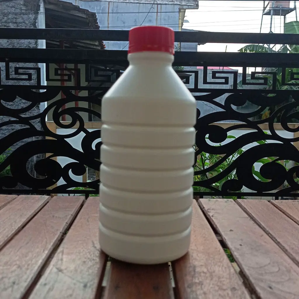 IMG_20250220_055903.webp